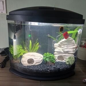 Aqueon Black 5 Gallon LED MiniBow SmartClean Kit